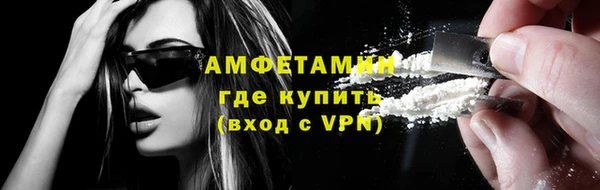 сатива Баксан