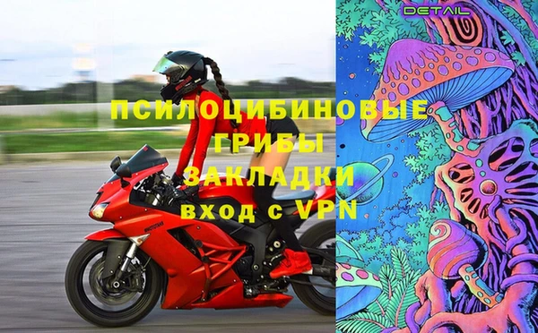 сатива Баксан
